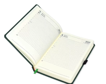 FIS Diary 2023 (English) A5, Maroon - FSDI84E23MR