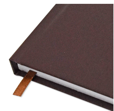 FIS Diary 2024 English (Friday & Saturday Combined) A5, Chocolate - FSDI91E24CH