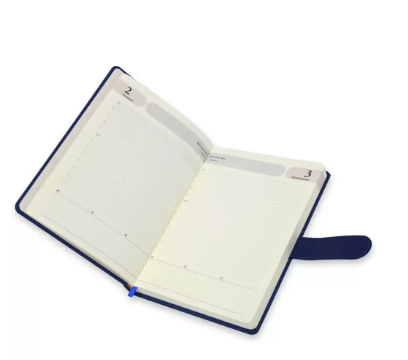 FIS Agenda Diary 2024 (English) Blue - FSDI75E24BL