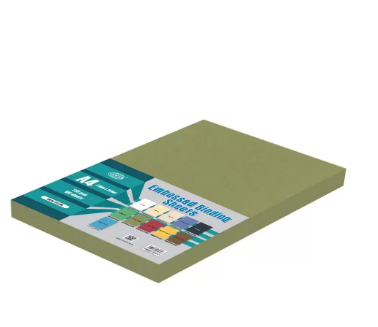 FIS Embossed Binding Sheet 230 gsm Pocket of 100 pieces - FSBDE230A4DGR