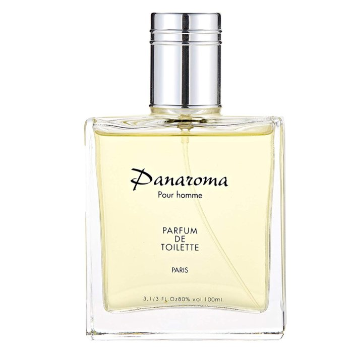 PANAROMA POUR HOMME (M) PARFUM DE TOILETTE 100ML