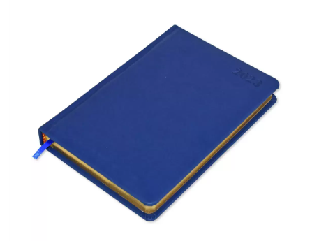 FIS Golden A5 Diary 2023 (English) Blue - FSDI19EG23BL