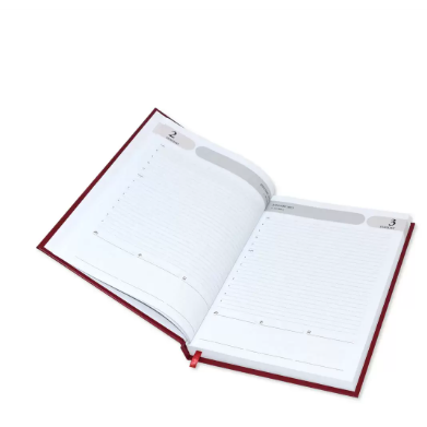 FIS Agenda Diary 2023 (English) Maroon - FSDI75EVN23MR