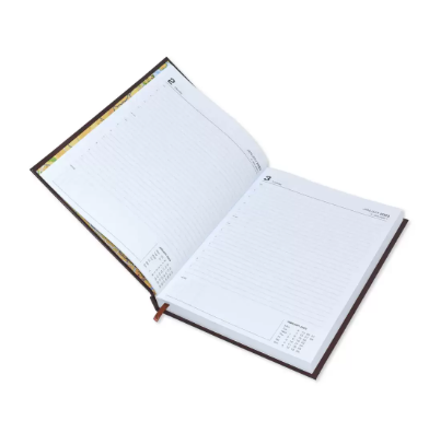 FIS 2023 Executive Diary English Vinyl Hard Cover Green - FSDI88EN23GR