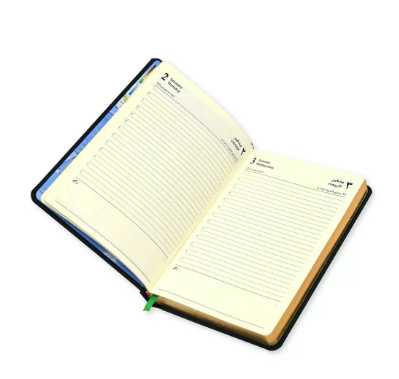 FIS Golden A5 Diary 2024 (Arabic/English) Green - FSDI19AEG24GR