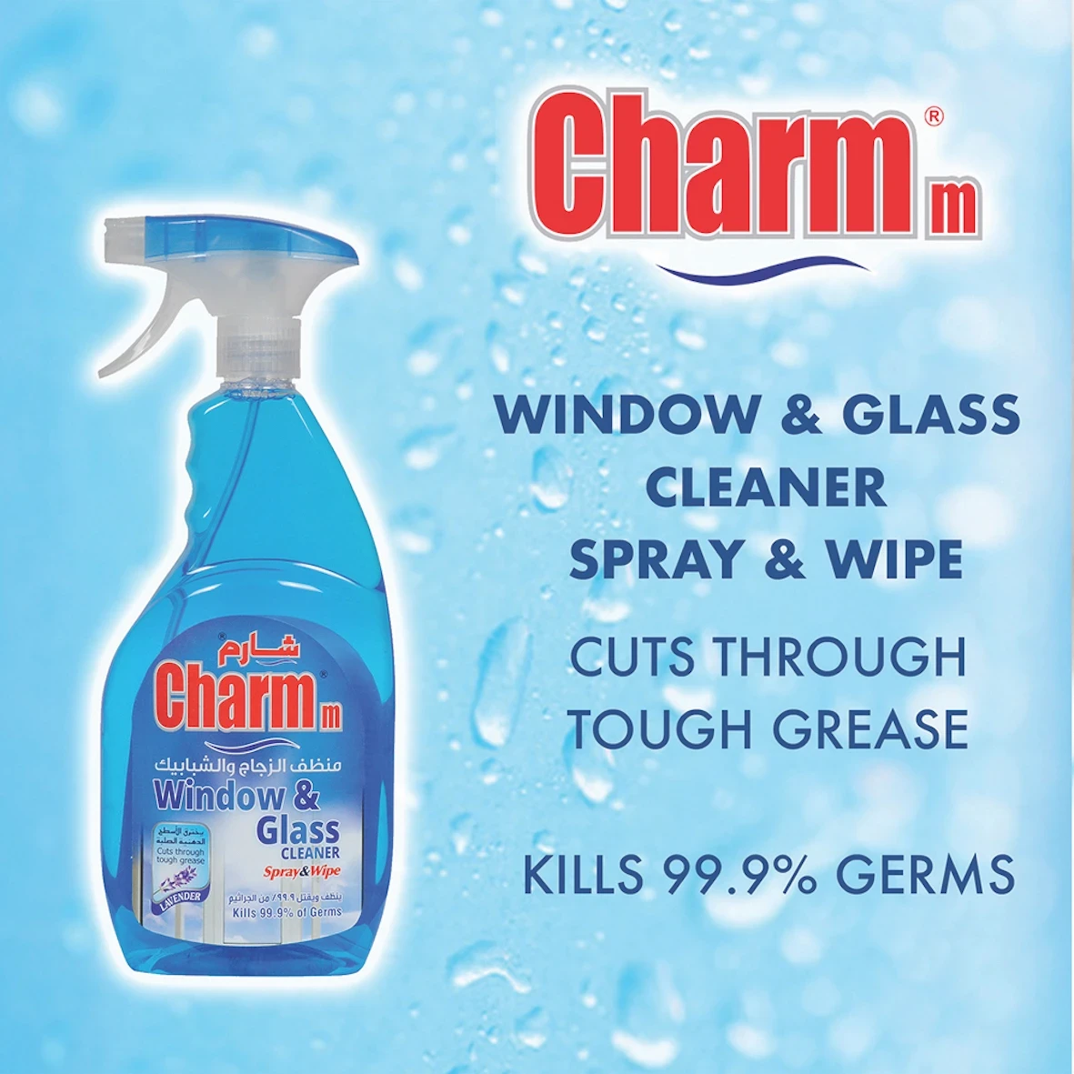 Charmm Window & Glass Cleaner Blue 750 ml