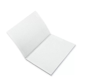 FIS Pack Of 5 Spiral Soft Cover Notebook, 96 Sheets A4 Panda Design 3 -FSNBSSCA496-PAN3