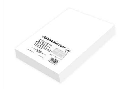 FIS Golden A5 Diary 2023 (English) Black - FSDI26EG23BK