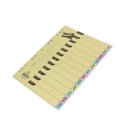 Pack of 15 Pieces Board Divider (Jan - Dec) English, Size A4 Multicolour
