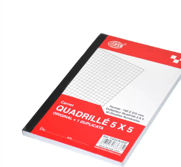 10-Piece FIS French Duplicate Books 5mm Square, Original with 1 Duplicate (50 Sest) A5 Size - FSDUA550F