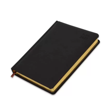 FIS Golden A5 Diary 2023 (Arabic/English) Dark Brown - FSDI19AEG23DBR