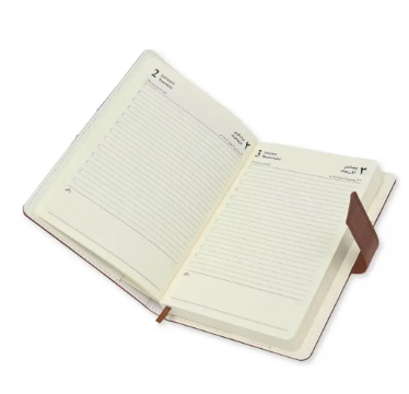 FIS 2024 A5 Diary Arabic/English Vinyl Hard Sewn Cover Dark Brown -FSDI80AE24DBR
