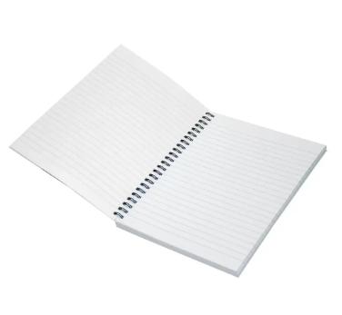 Light LINB971801S Spiral Single Line Notebook - Pack of 10 Pieces (100 Sheets Each, 9X7in)