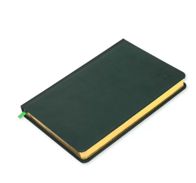 FIS Golden A5 Diary 2024 (Arabic/English) Green - FSDI19AEG24GR