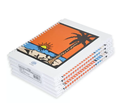 5-Piece FIS Spiral Hard Cover Notebook Single Line 9X7 Inch, 100-Sheets - FSNBS971901