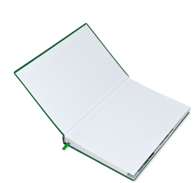 FIS 2024 Agenda Diary Arabic/English Left Side Opening with 12 Months Index, PVC Hard Cover Green - FSDI63AEL24GR