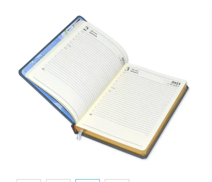 FIS A5 Diary 2023 English Golden Bonded Leather, Grey - FSDI26EGB23GY