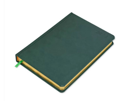 FIS Golden A5 Diary 2023 (English) Green - FSDI19EG23GR
