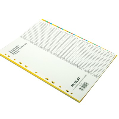 DIVIDER 31 Tab W/Numbers