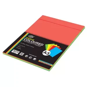 FIS Premium Color Photocopy Paper, 100 Sheets, 80 gsm, 5 Assorted Premium Colors, A3 Size - FSPWA3P5C100