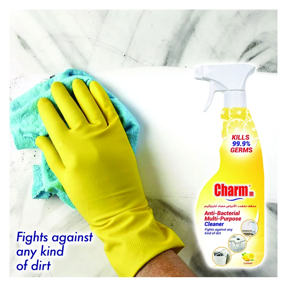 Charmm Antibacterial Multi-Purpose Cleaner 650 ml