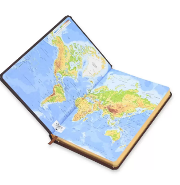 FIS Golden Diary 2024 (English) Chocolate, A5 - FSDI23EG24CH