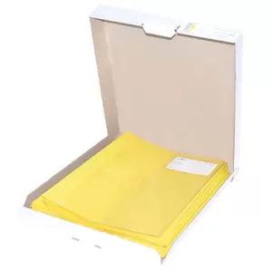 25-Piece Durable Project File, A4 Size, Yellow Colour - DUPG2745-04