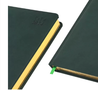 FIS Golden A5 Diary 2024 (Arabic/English) Green - FSDI19AEG24GR