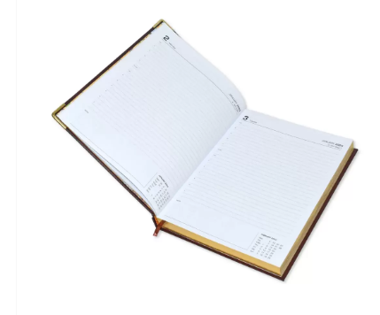 FIS Golden Executive Daily Diary 2023 (English) Green - FSDI88EG23GR