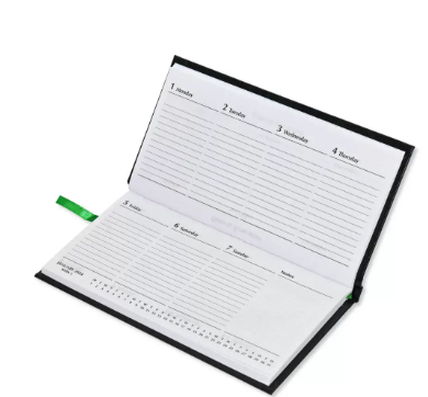 Fis 2024 Slim English Diary Vinyl Hard Cover Green -FSDI51E24GR