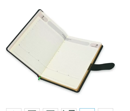 FIS Golden Agenda Diary 2024 (English) Italian PU, 1-Side Padded, Green - FSDI75EPG24GR