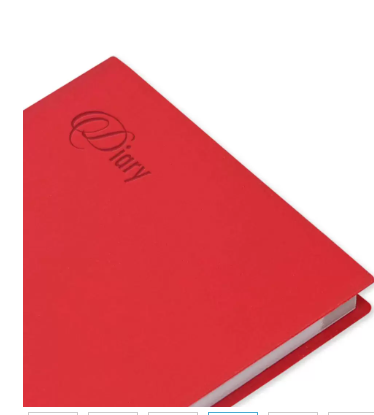 Fis 2024 Pocket Diary English With Pvc Soft Cover Red -FSDI09E24RE