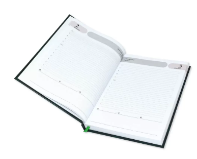 FIS 2023 Agenda Diary English Vinyl Hard Cover, Green - FSDI75EV23GR