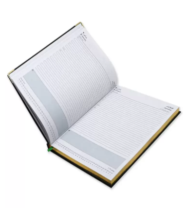 FIS A4 Golden Diary 2023 (Arabic/English) Green - FSDI46AEG23GR