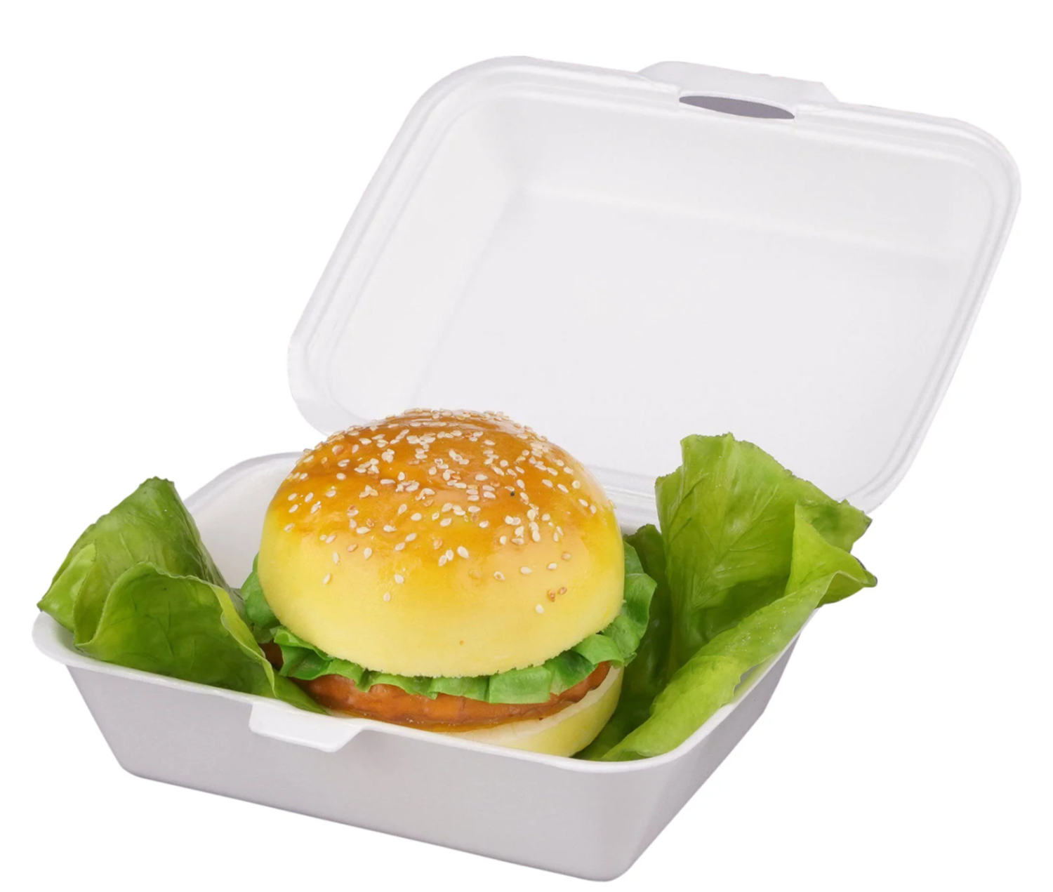 Foam Lunch Box