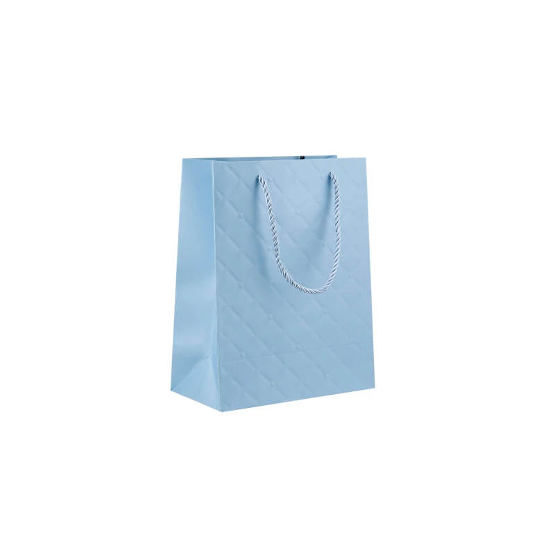 Gift Paper Bag(20x10x25 Cm)10 Pieces