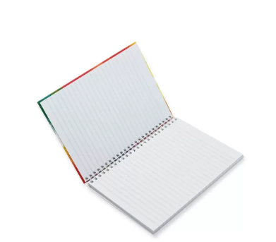 FIS Pack Of 5 Spiral Hard Cover Notebook, 96 Sheets A5 Panda Design 3 -FSNBSHCA596-PAN3