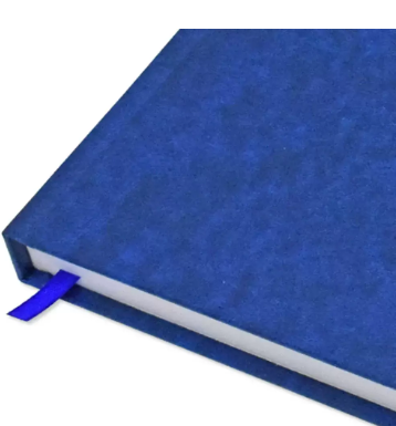 FIS Diary 2024 (English) Blue, A4 - FSDI41E24BL