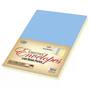 FIS Laid Paper Envelopes Peel & Seal, Pack of 60 Pcs. 6 Assorted Colors Color, C4 (324 x 229 mm), 100 GSM - FSEE1027PB660
