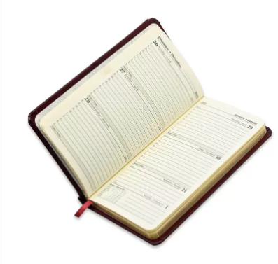 FIS 2023 Golden Slim Diary Bonded Leather (English/French) Maroon - FSDI59EFGB23MR