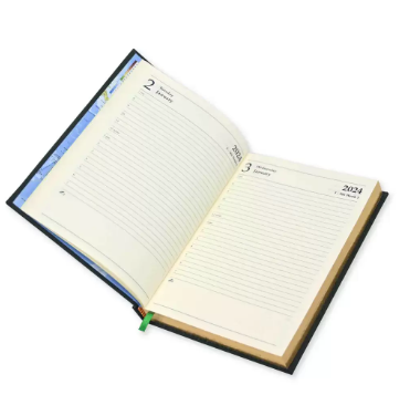 FIS Golden A5 Diary 2024 (English) Green - FSDI26EG24GR