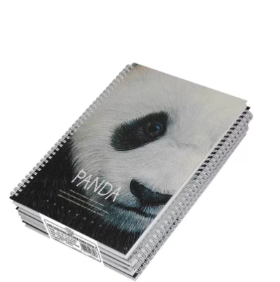 FIS Pack Of 5 Spiral Hard Cover Notebook, 96 Sheets A4 Panda Design 4 -FSNBSHCA496-PAN4
