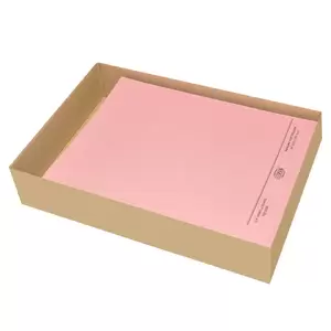 FIS Square Cut Folders Without Fastener Pink Color, Pack of 50 Pcs, 320 gsm, A4 Size - FSFF9A4PI