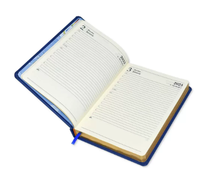 FIS Golden A5 Diary 2023 (English) Brown - FSDI19EG23BR