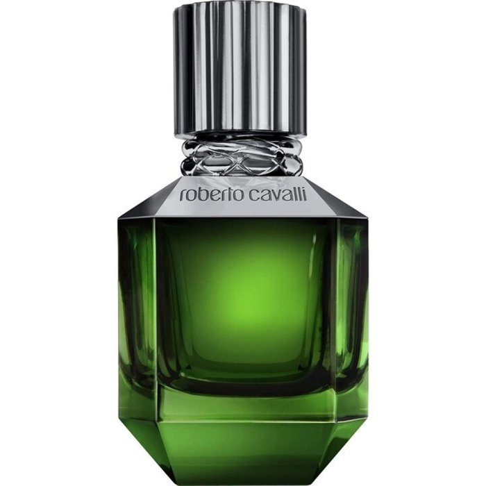ROBERTO CAVALLI PARADISE FOUND (M) EDT 50ML