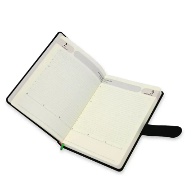 FIS Agenda Diary 2024 (English) Green - FSDI75E24GR