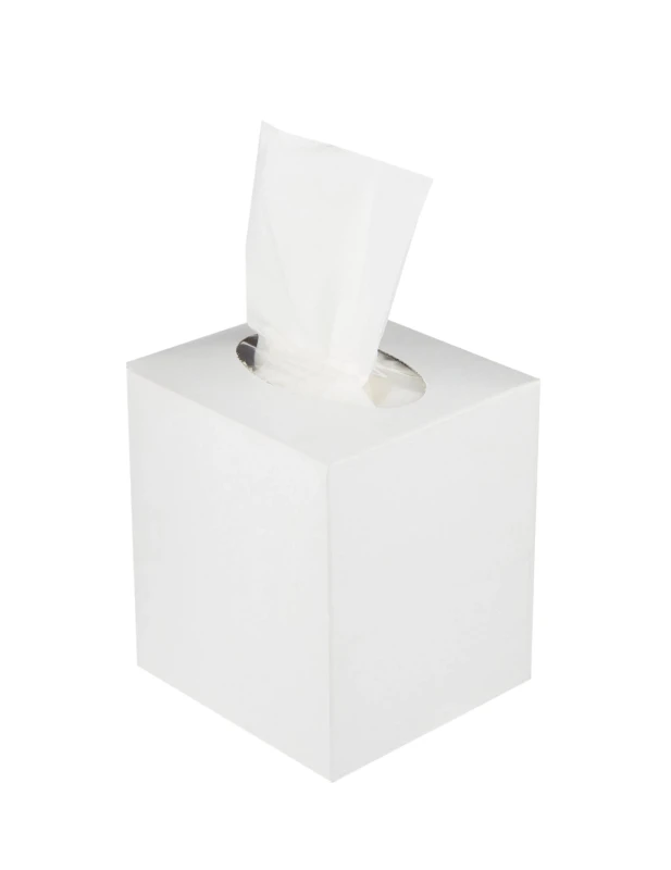 Square Boutique Facial Tissues
