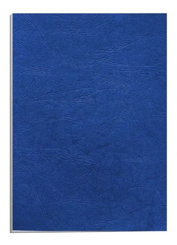 Partner 100-Piece A4 Embossed Binding Sheet Blue