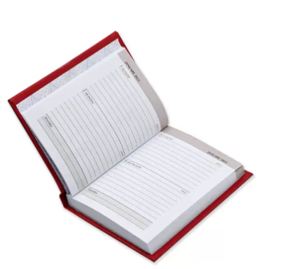 Fis 2023 Pocket Diary English Vinyl 1Side Padded Red -FSDI10EN23RE