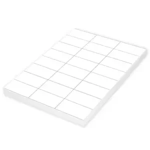 Agipa 100-Sheet Multipurpose Label White - APLA101136